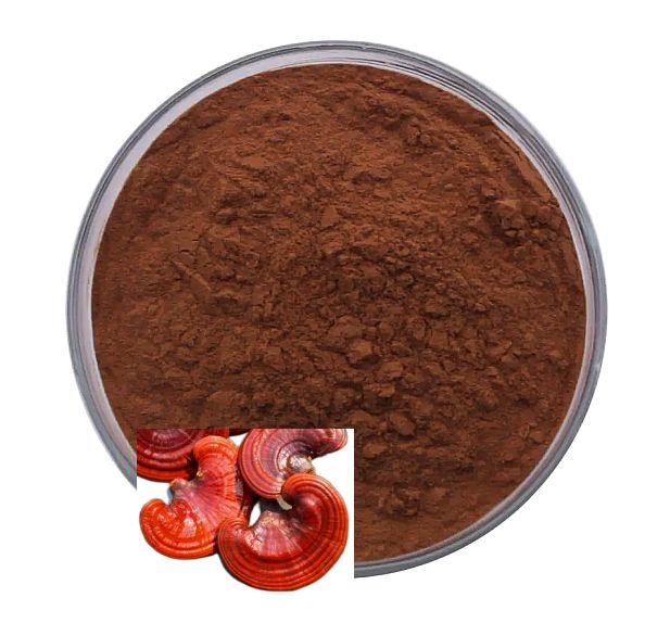 reishi-powder